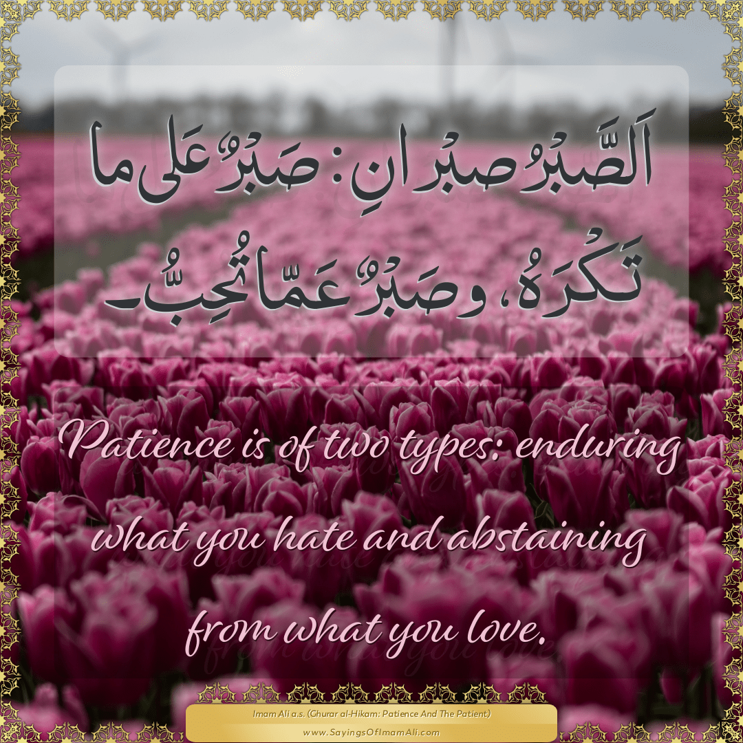 Patience is of two types: enduring what you hate and abstaining from what...